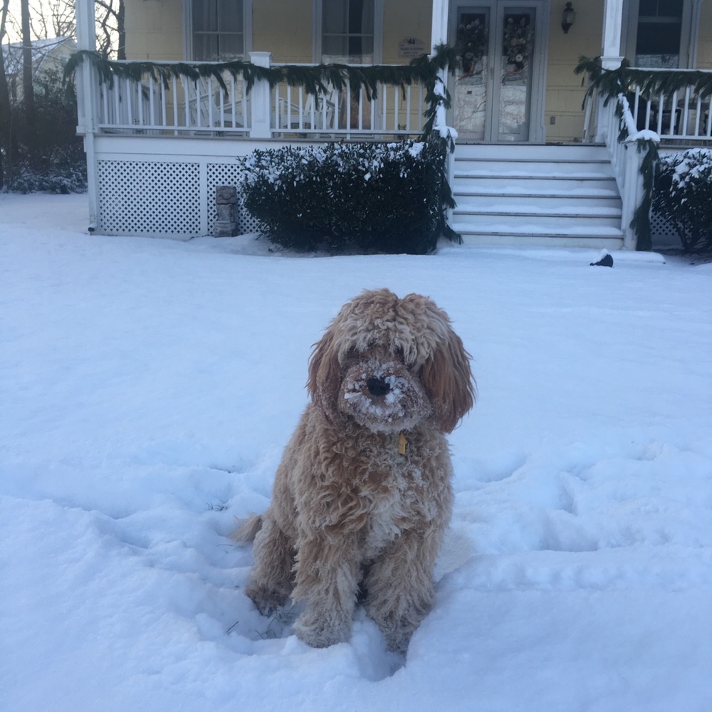 Meet your Posher, Karen